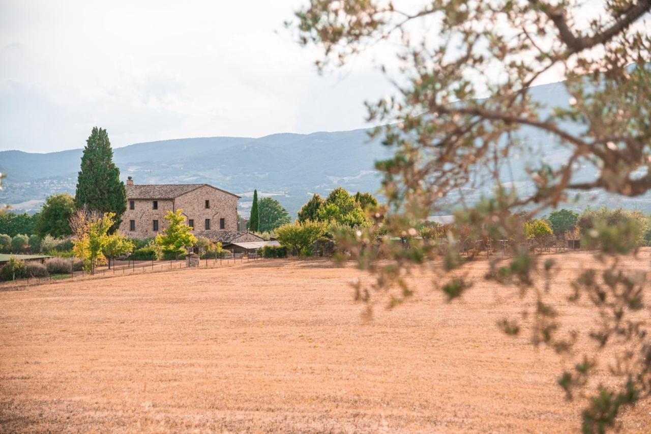 San Carlo A La Molinella Guest House Citta della Pieve Ngoại thất bức ảnh